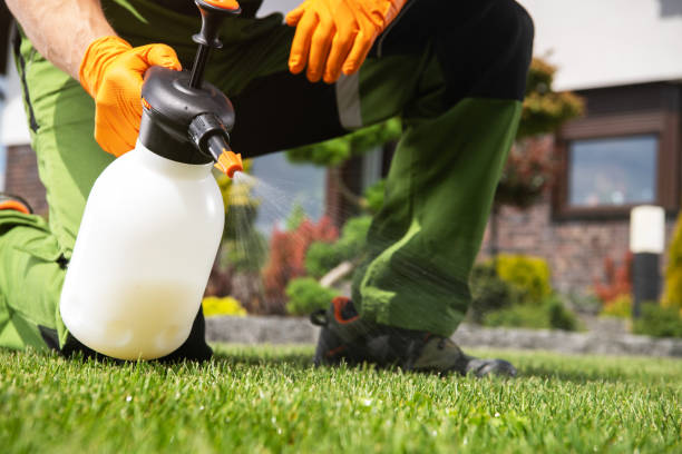Best Wildlife Control Services  in Punaluu, HI