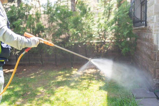 Best Ant Control Services  in Punaluu, HI