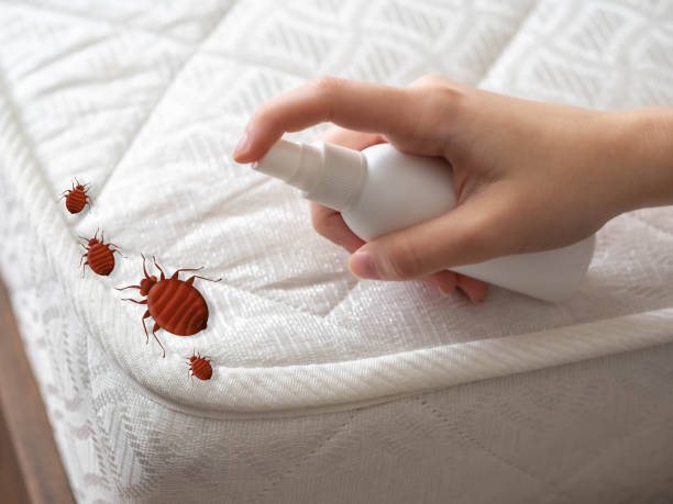 Pest Control for Restaurants in Punaluu, HI